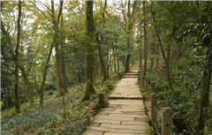 成都、四姑娘山、马尔康双卧七日游